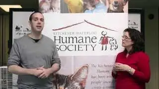 N2 the Talking Cat Season 4 Fundraiser - Super Hero Cat Saves Lives