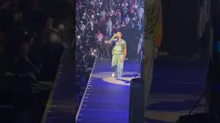 Chris Brown performs Mutt remix at the Tycoon Festival #ChrisBrown #Mutt #Detroit