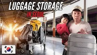 Best Luggage Storage in Seoul (T Luggage)