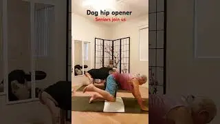 #seniors #mobility #hip