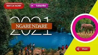Ngare Ndare 2021 Blue pools. Most Beautiful forest in Kenya!