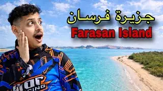  لم أتوقع جمال جزيرة فرسان! 🌊✨