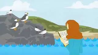 Marine birds are in trouble in the North-East Atlantic