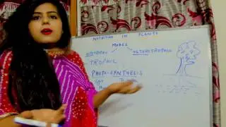Nutrition in Plants (Autotrophic)(YOUNG LEARNING): Part-1