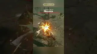 Boomerang Trick Shot Kill! Zelda BOTW #Shorts