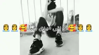 Tayyab zeba song new song Tayyab zeba song lyrics with Love ❤️❤️❤️