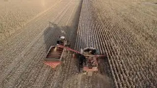 Ontario Corn Harvest 2019