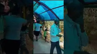Nidhivan ki Latayen