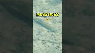 THE SECRET TO CATCHING MONSTER FISH 😱😱😱 #fishing #shorts #outdoors