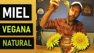 🌻 Miel vegana, miel de flores de diente de le&oacute;n, plantas medicinales, jalea vegana, diente de le&oacute;n