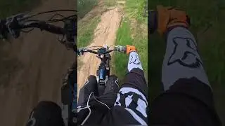 Dont dare to chase me again| biker chasing dogs back#biker #chase #dog #dogchaser #funny #funnyvideo
