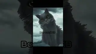 Заказ от @Варсохвост-ш4ц #warriorcats #хзчтоснимать #edit #котывоители
