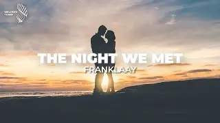 The Night We Met (Franklaay Cover)