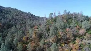 5.04 Acres Alamo Rd