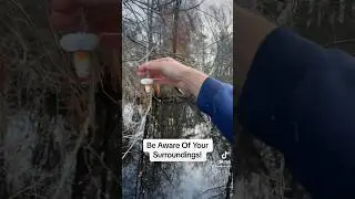 Neat Trick To Find FREE FISHING LURES #FYP #FREE #FISHING #NC #fishinglife #angling #boatlife #fish