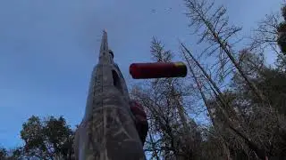 2019 Band tail Pigeon Hunt 4th Day