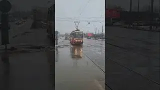 трамвай &laquo;ЛМ99К&raquo;, борт №0443, маршрут 🟢20⚪️ | #спб, #трамвай, #лм99к, #tram, @TransportKolobok