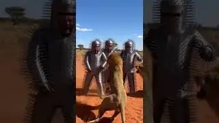 3 Men vs. Lion: The 