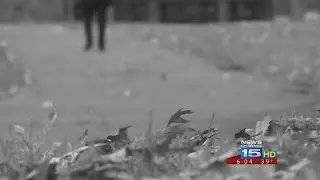 Group works to improve mental health care access