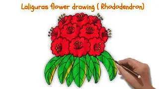 How To Draw Rhododendron Drawing Laliguras national flower of Nepal🌺