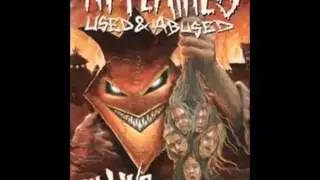 Used And Abused...In Live We Trust -IN FLAMES -Dial 595