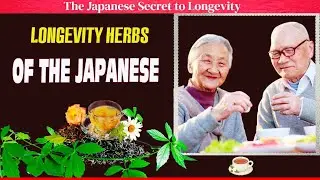The Longevity Tea Every Senior Over 60 Should Drink | Senior Health Secrets