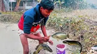 west bengal fishing video 🐬🐬 Fishing by hand in a pond amidst rural nature