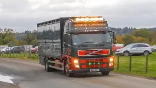 Livestock Trucks at Stirling United Auctions Bull Sale (23/10/23)