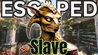 Can She Escape Twice? Escaped Slave Trapped in Dark Brotherhood | Skyrim Roleplay