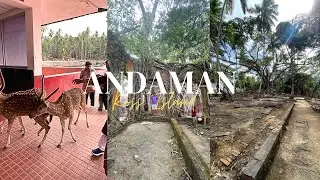 Ross Island | NSCB Island | Port Blair | Andaman Trip Day -2 | #travel #viral #rossisland #500subs