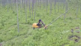 855D Feller Buncher in North Carolina