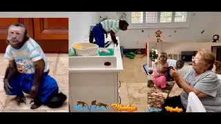 Monkeys running & playing around my house&hellip;🤭🤨 also, Angelika's update 😍