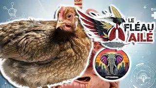 Maladie de Newcastle | Documentaire Animalier