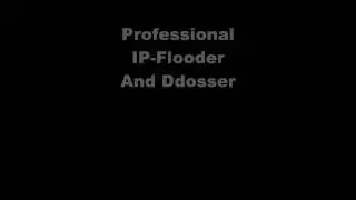 Professional IP-Flooder and Ddoser (2010) Edition