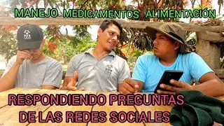 COLOCANDO MEDICAMENTOS ARETADO DESOFICACION AL GANADO A LA SEMANA DE LLEGADOS AL ENGORDE - PARTE 2
