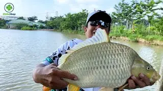 NGÀY CUỐI CÂU CÁ Ở HÀ NỘI TẠI HỒ THẢO VỊT | CÁ LÔI MẤT CẦN LIÊN TỤC ANH EM ƠI