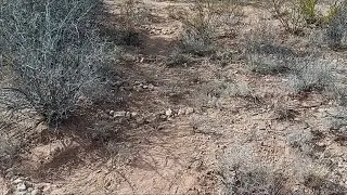 Musical story. 2 years living off grid.