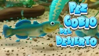 🐟 COMO CUIDAR al PEZ GOBIO DEL DESIERTO 🐠🌿  #peces #aquariumfish #gobios