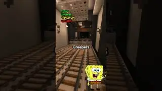 Minecraft: 4 Questions of Madness