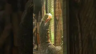 Forrest Galante is Scared of This Animal