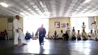 Varias técnicas de Ju-Jitsu y Hojo-Jutsu