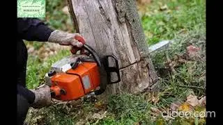 Stump Removal Melbourne | Stump Removal In Melbourne | Stump Removal Services in Melbourne