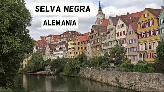 Selva Negra en Alemania en 5 minutos: Una Regi&oacute;n de Cuento y Naturaleza | Friburgo, Triberg..