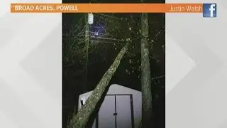 Storm damage reported across East Tennessee