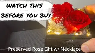 Showing Why Preserved Rose Box with Necklace Is THE PERFECT GIFT For Valentines Day [PRODUCT REVIEW]