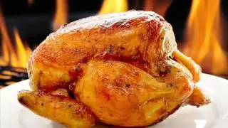 how to start a chicken grill business