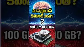 Human Brain Storage Capacity! మీరు ఊహించలేరు! ⚡#humanbrain #careerscare