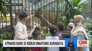 Atraksi Baru di Kebun Binatang Surabaya