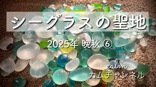 シーグラスの聖地 2025年 晩秋 ⑥