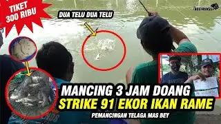 BORONG 2 AMPLOP‼️ Mancing 3 Jam Bisa Dapet Nyaris 100 Ekor Ikan Rame‼️ Pemancingan Telaga Mas Bey